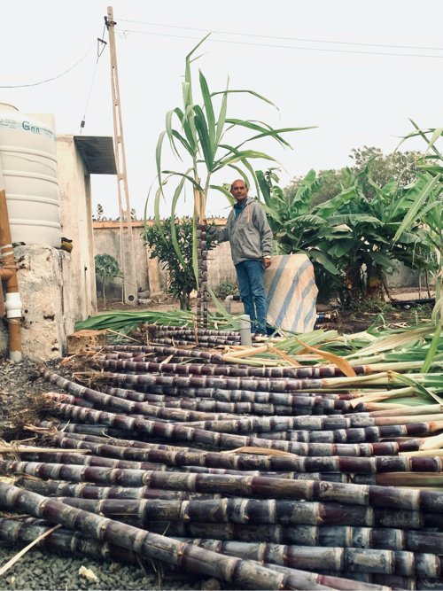 “કૃષ્ણમ ઓર્ગનિક શેરડી ”
બ્લુ બેલ સ્કૂલ ની પાછળ,જીલાના રોડ,માણાવદર,જુનાગઢ362630