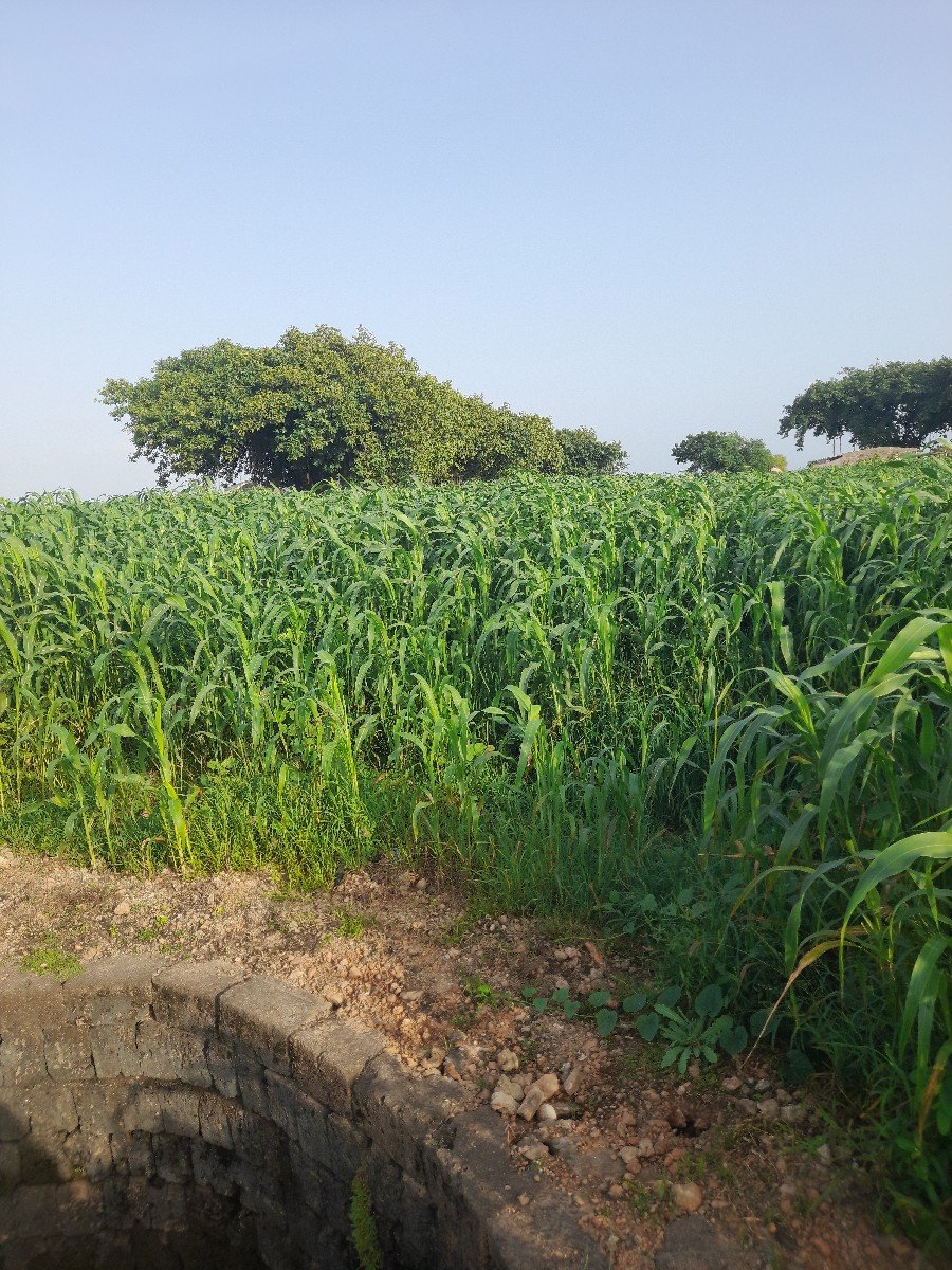 વેચવાનો છે