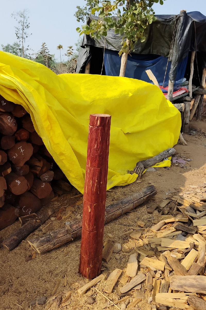 RED SANDALWOOD
Lal chandan