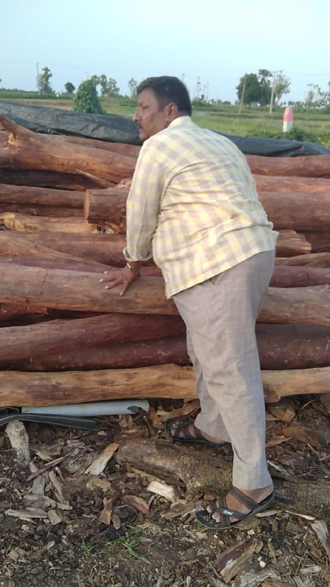RED SANDALWOOD
Lal chandan