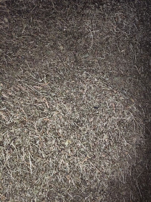 ભૂકો માંડવીનો વેચવાનો છે
