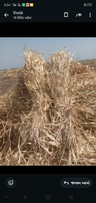ચાર,વેચવાની છે,ઘેડનીછે