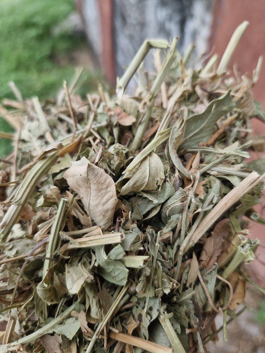 માડવી નો ભૂકો વેચવાનો છે.