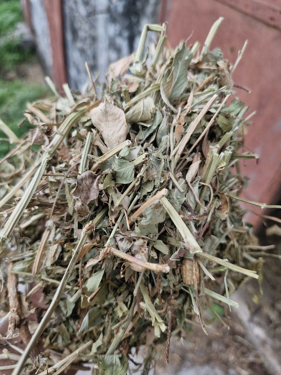 માડવી નો ભૂકો વેચવાનો છે.
