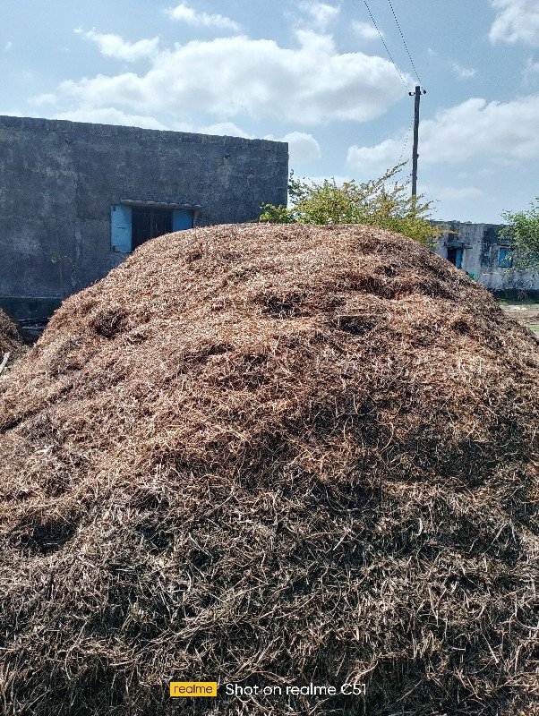 ભૂકો વેચવાનો છે