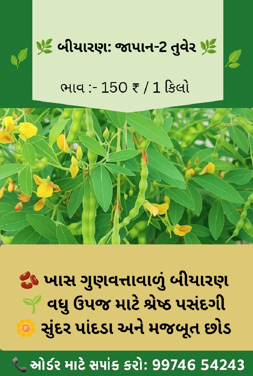 બિયારણ:- જાપાન 2 તુવેર