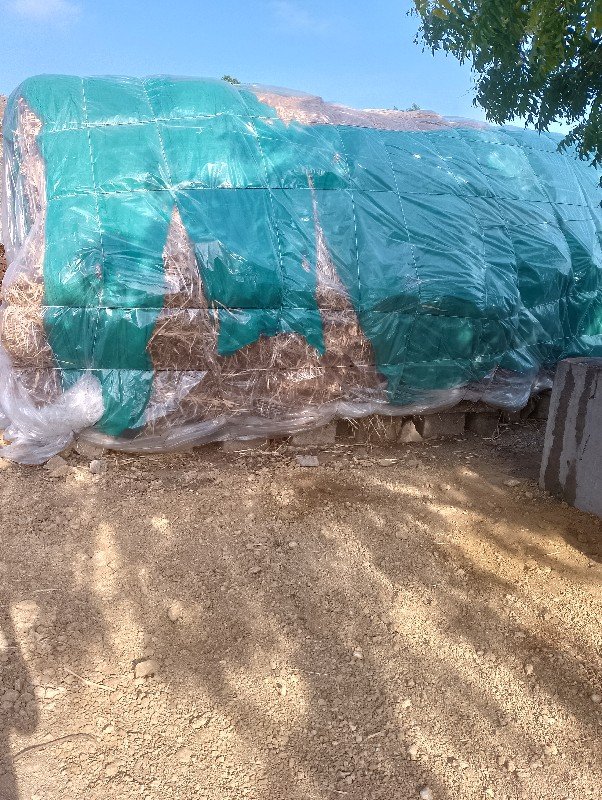 સાર વેસવાની સે