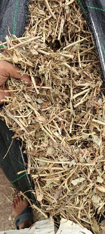 જીવી માંડવી નો ભુક્કો 200મણવેચવાનો