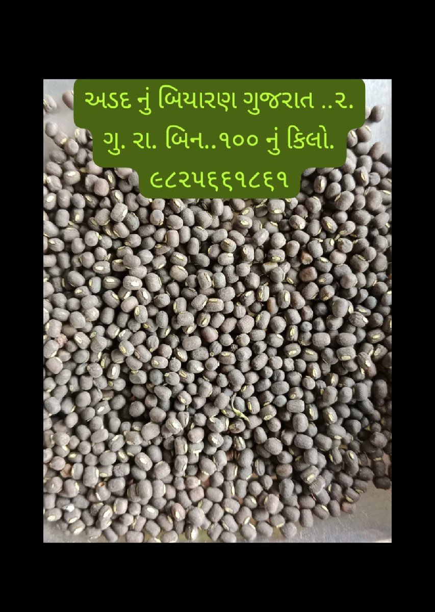 અડદ બિયારણ ગેરેન્ટી વારુ