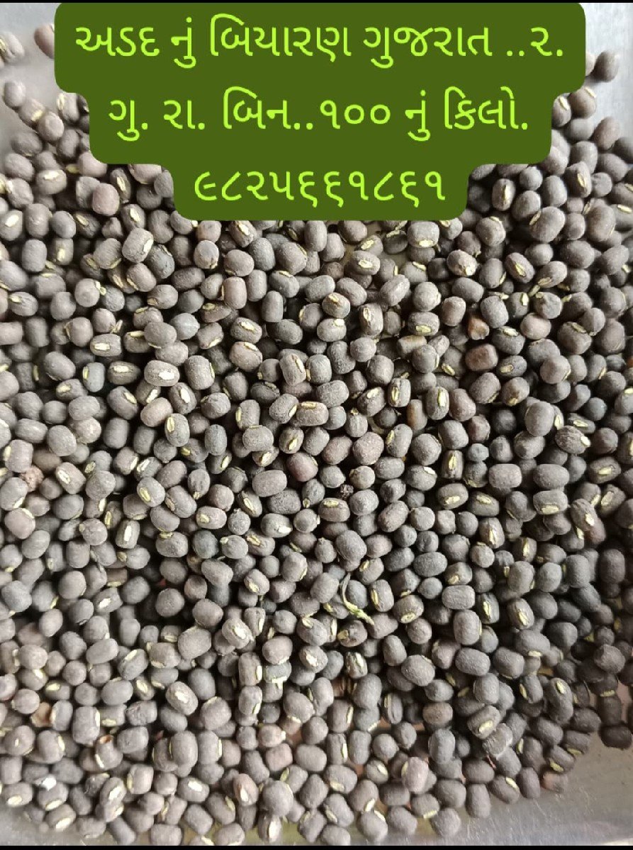 અડદ બિયારણ ગેરેન્ટી વારુ