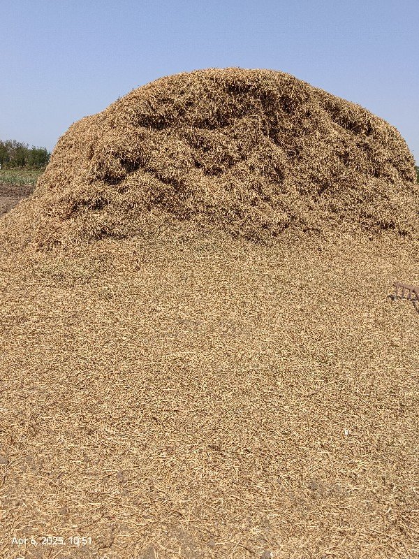 જી વીસ માંડવી નો ભૂકો