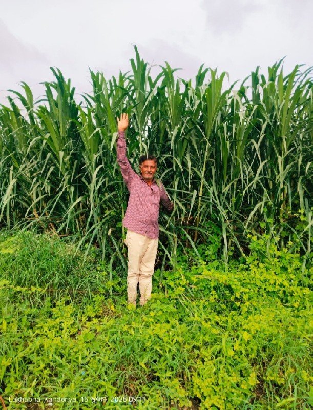 મજુર જોઈ છે