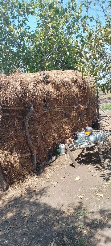 ભુકો વેંચવાનો છે