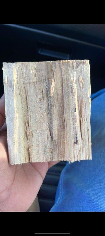 White Sandalwood