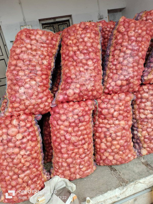 પીળી૫તી ડુંગળી