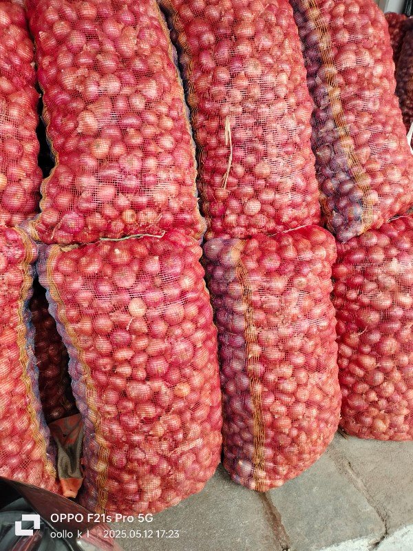 પીળી૫તી ડુંગળી