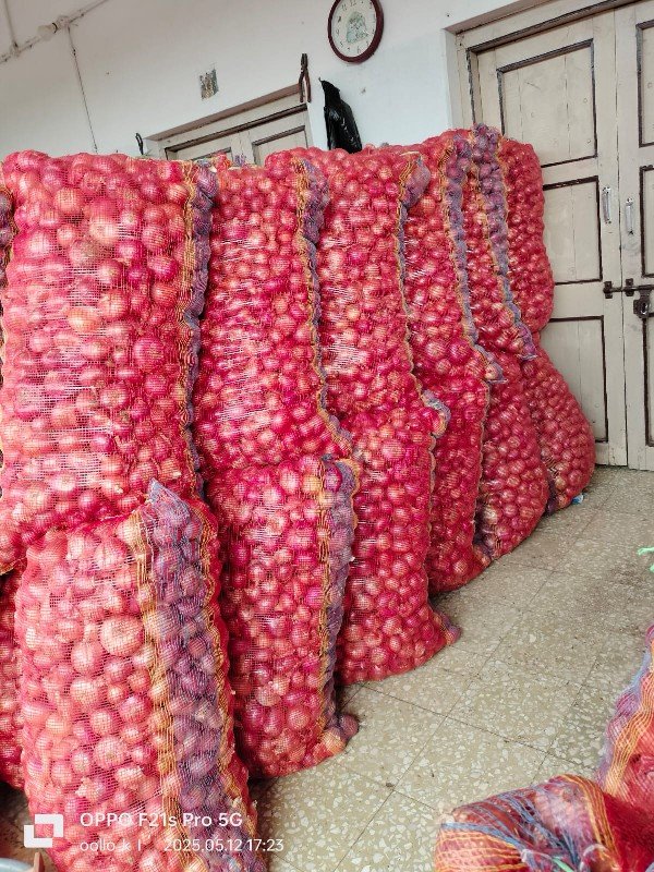 પીળી૫તી ડુંગળી