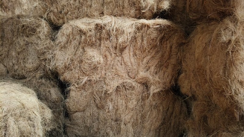Resa  cocopit block