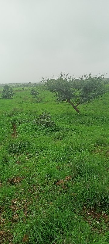 vidi charva mate vechvani se