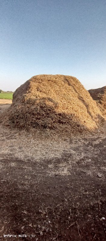 માંડવીનો ભૂકો વેસાવ છે