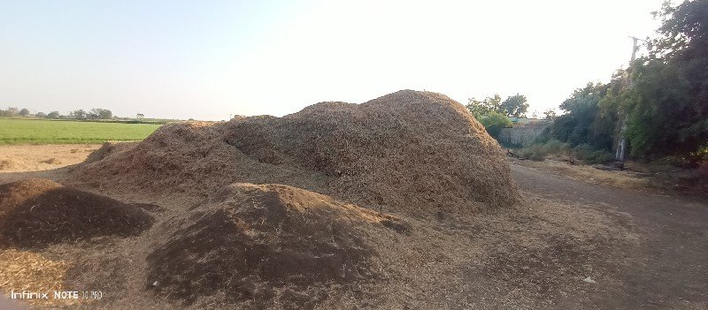 માંડવીનો ભૂકો વેસાવ છે