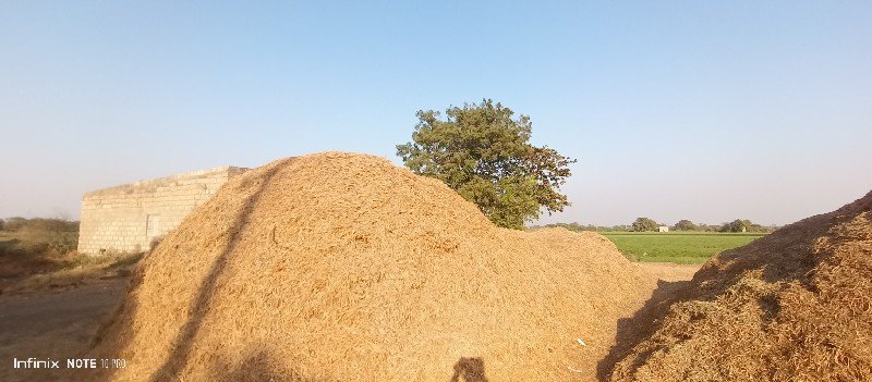 માંડવીનો ભૂકો વેસાવ છે
