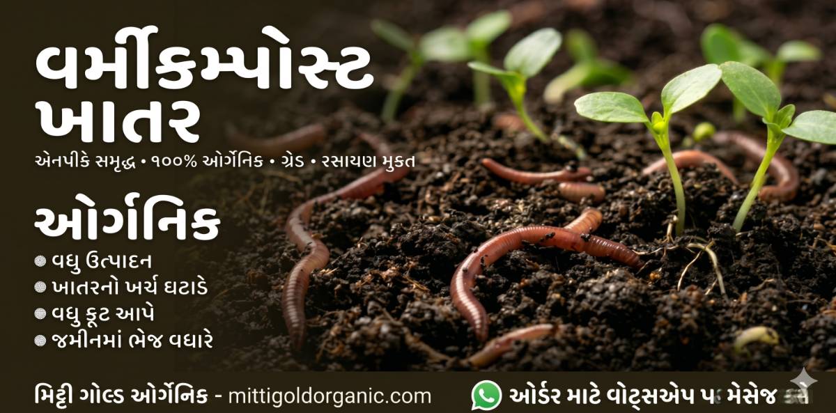 Mitti Gold Organic