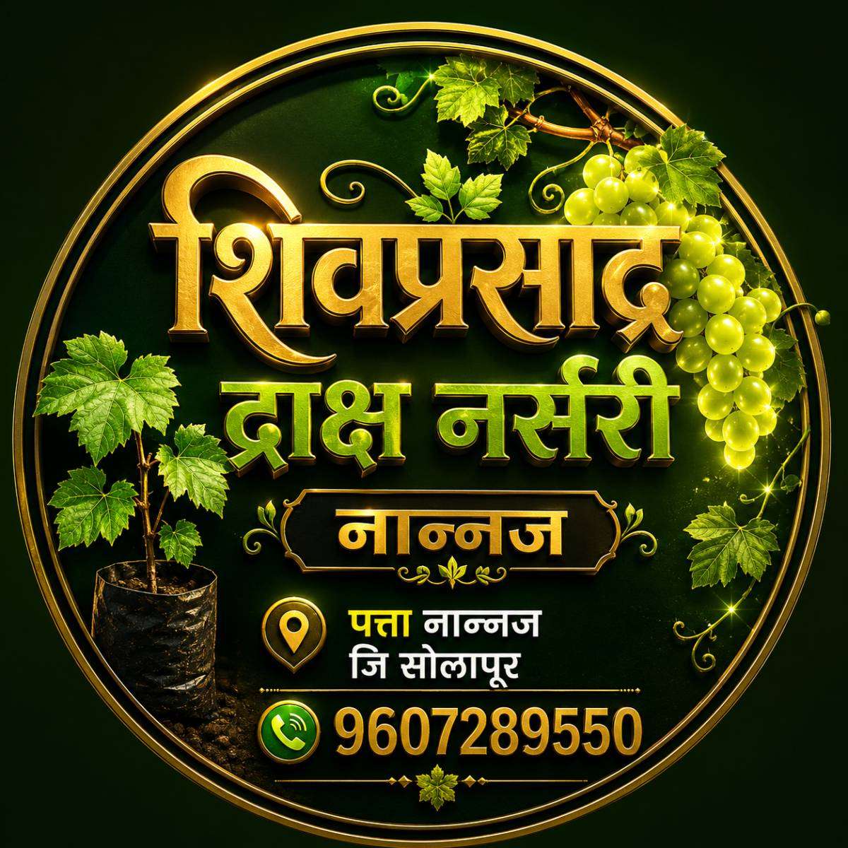 Shivprasad Grapes Nursery Nannaj